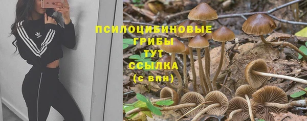 твердый Аркадак
