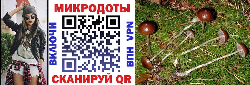 Галлюциногенные грибы Cubensis  Соль-Илецк 