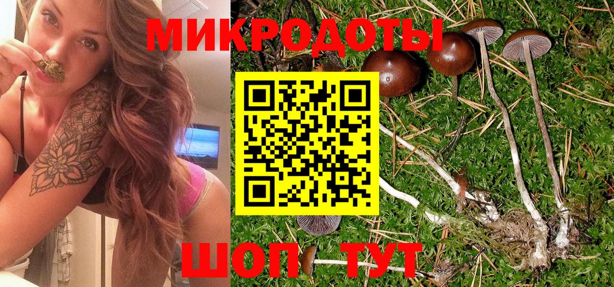 Соль-Илецк  дарнет шоп  Вход с VPN  Псилоцибиновые грибы Psilocybine cubensis 